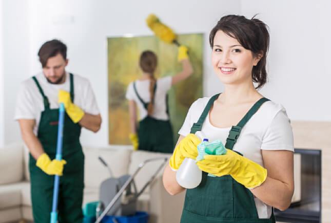 Section Illustration Woman Mopping